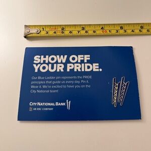 City National Bank Blue Ladder Pin